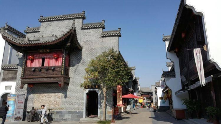观复猫各有潜能、身怀绝技，戏精王情圣，雄霸一方戴南瓜等，你家的猫有什么潜能呢？